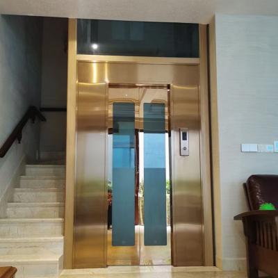 China Modern China Mini Home Elevator 250kg Small Platform Lift Indoor Electric Passenger Lift for sale