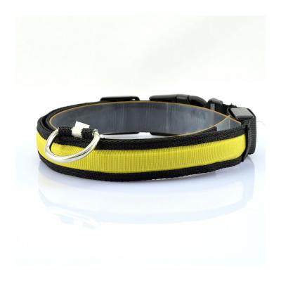 China Lights 2021 New Design Customized Pet Collars Led Pet Collar Anti-lost for sale