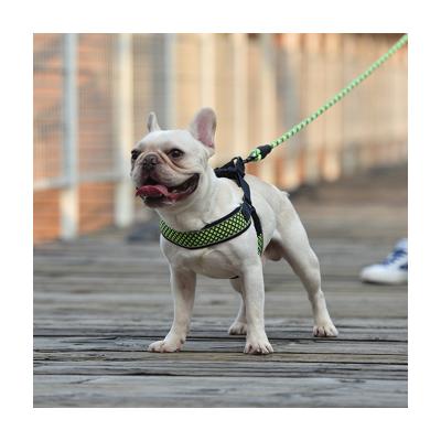 China Wholesale Medium Large Padded Dog Leash Pet Harness Set Thoughtful V Shape Dog Harness Foam Handle Pet Leash Set for sale