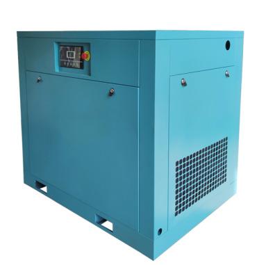 Cina 7.5kw 11kw 15kw 18.5kw Stationary Electric Oil Free Mini Air Compressor With Tank For Painting in vendita