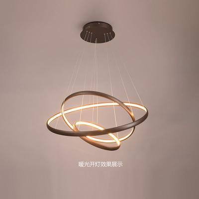 China Modern Ceiling Lamp Ceiling Led Modern Nordic Pendant Light Decoration Indoor Minimalist Chandelier for sale