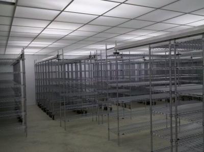 China Sistema high-density do shelving da sala fria para o armazenamento seco, os refrigeradores e os congeladores das pessoas sem marcação à venda