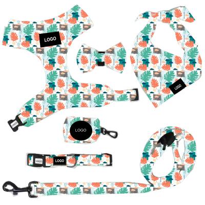 China Personalized New 6 Piece Set of Pet Chest Harness Traction Rope Pet Walking Supplies for sale