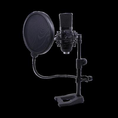 China New Design Pro Hot Selling EM-700 Audio Accuracy Microphone USB Podcast Mic Plug and Game Condenser Microphone Stand Studio Set for Recording for sale