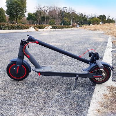 China Free Shipping China New Design Hot Selling Electric Scooters 36V 500W Disc Brake Fast Electric Mobility Scooter Unisex For Adult for sale