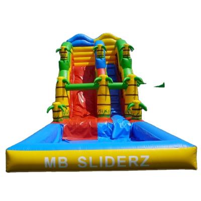 China High Quality PVC of Children's Inflatable Tropical Water Slide with Pool for sale