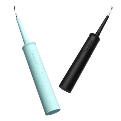 China Other Design 2020 New Design Rechargeable Sonic Electric Toothbrush Tooth Remover for sale