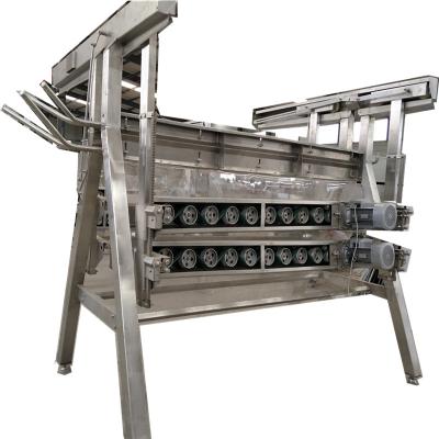 China POULTRY poultry slaughter plucking or plucking machine for sale