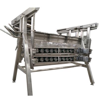 China POULTRY 2000-10000 BPH Poultry Slaughter Plucking Or Plucking Machine for sale