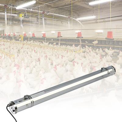 China Warehouse High Brightness Dimmable Batten Industrial Emergency Tri Proof Light Led Tri Proof Light for sale