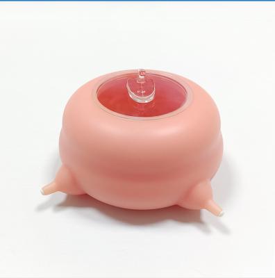 China Food Grade Silicone Kitten Puppy Nipple Feeder Pet Kitty Pacifier Bowl Automatic Feeder with Four Nipples Simulated Pet Feeder with Nipple for sale