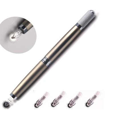 China Permanent Professional Disposable Microblading Pen With Mist Shading Needles Roller Pin Derma Pen For Permanent Make Up for sale