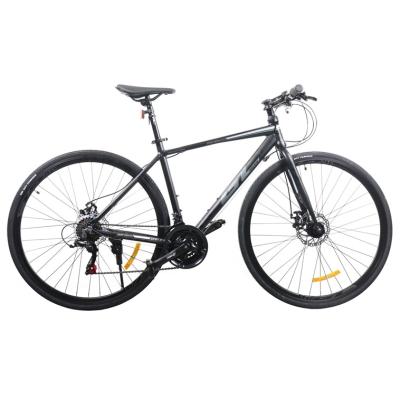 China Aluminum Alloy Top Quality 700C Sports Bike Aluminum Alloy Mountain Bike Sport Bike for sale