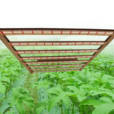 China Best Dimable 2021 Medical Greenhouse Lighting Adjustable Led Grow Light 8 Bar Foldable Led Plant For Growing Light Cob for sale