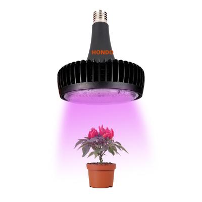 China Eco-friendly red blue spectrum 60W UV hps led plant growing light for Succulents and starting from seed for sale