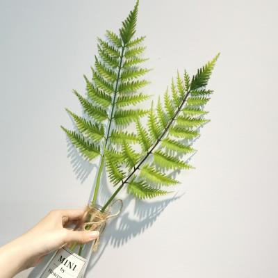 China Contemporary Amazon Hit Custom Design Tropical Plants Artificial Evergreens Wall Ferns Boston Leaf Party Office Living Home Decor for sale