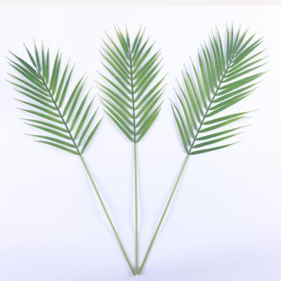 China Boston Contemporary Hot Cheap Artificial Tropical Palm Indoor Plant Ferns Plastic Leaf For Wall Decoration for sale