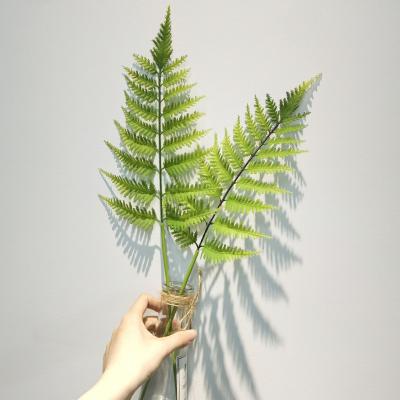 China Wholesale Cheap Artificial Fern Plants Home Decor Farmhouse DIY Promotion Plant Plankton Wall Desktop Decor for sale