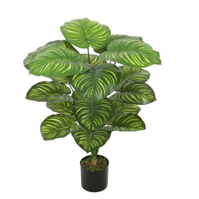 China Minimalist 80cm Small Artificial Plants For Indoor Meeting Room And Office Decoration for sale