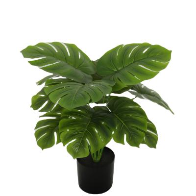 China Amazon Contemporary Hot Sellings High Simulation Small Monstera Deliciosa Plants Lifelike Bonsai Trees For Meeting Room Office Decor for sale