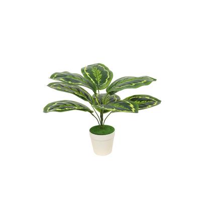 China 2021 traditional greenery small almost natural plastic bonsai trees for sale for sale