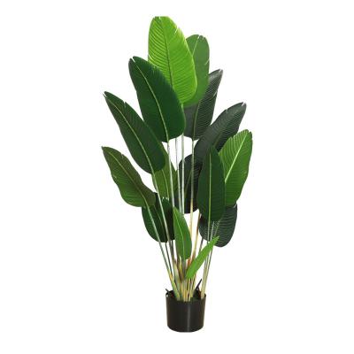 China Banana Garden Contemporary Hot Selling High Quality Artificial Plastic Tourist Yard for sale