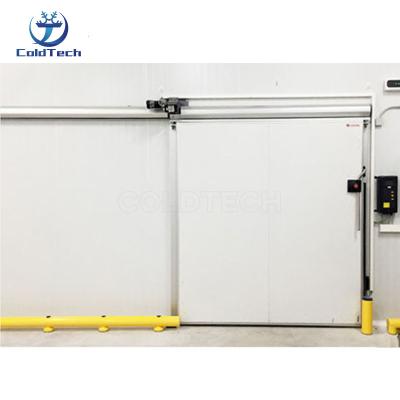 China Waterproof Hinged Door Cold Room Doors for Cold Rooms Cold Room Doors Manufacturers for sale