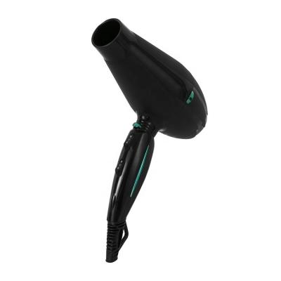 China 2000 Watt Ionic Professional Hair Dryer Salon Hair Dryers with AC Motor Negative Ionic Blow Dryer with Long Life Low Noise Styling for sale