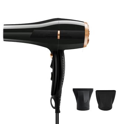 China Professional Ionic Salon Hair Dryer Blow Dryer AC Motor Fast Drying with 2 Speeds Setting 2Nozzles for Curly and Straight Hair for sale