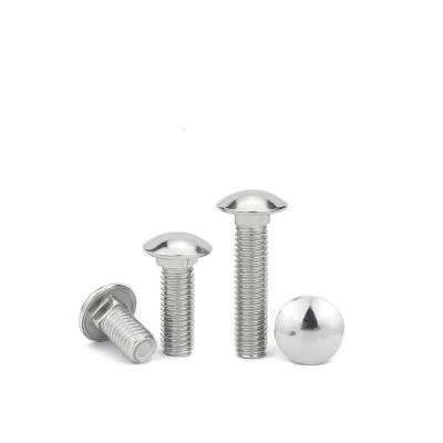 China Galvanized 304 316 Stainless Steel Carriage Bolt and Nut Washer Galvanized Screw from Stainless Steel Fasteners Supplier China for sale