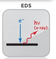 China EDS Component Analysis Laboratory Analyzing Chemical Composition with X-rays en venta