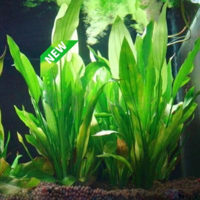 China Minimalist 1PCS Artificial Plastic Water Plant Grass Aquarium Decorations Plants Aquarium Grass Flower Ornament Decor Aquatic Accessories for sale