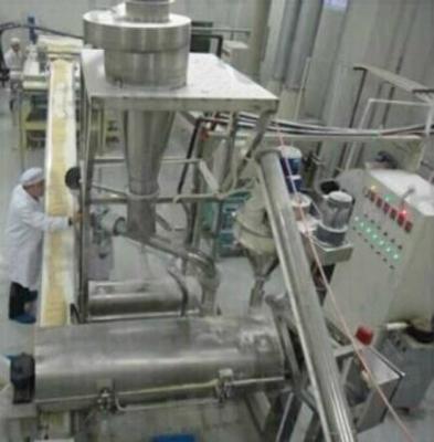 Cina Linea a macchina dell'alimento di Eco di ingegneria dei chip composti amichevoli di progetti in vendita