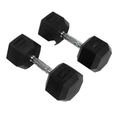 China 2022New Gymnasium Hot Selling 10 High Quality Stable No Slip Dumbbell 15 20kg Stainless Steel Dumbbell For Sale for sale