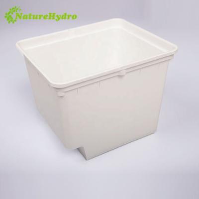 China For Dutch Tomatoes Black Substrate Bucket Hydroponics For Tomatoes for sale