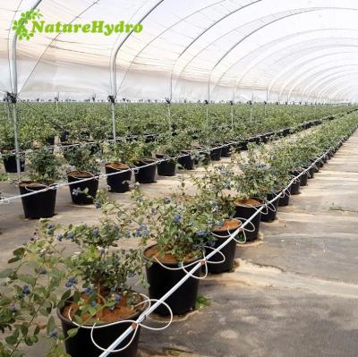 China Square PE Greenhouses Agricultural Blueberry Pot Round Blueberry Pot for sale