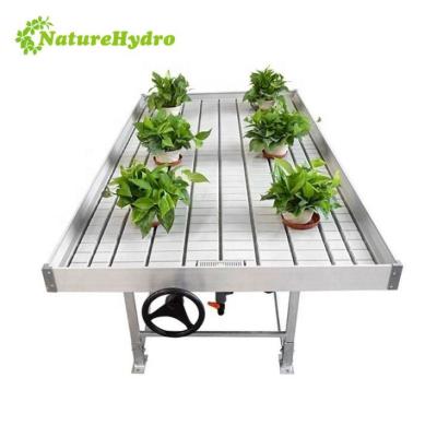 China Seedling Propagation and Growing Hot Sale Greenhouse 4x8 ABS Plastic Tray Rolling Benches Ebb and Flow Table for Commercial Agriculture for sale