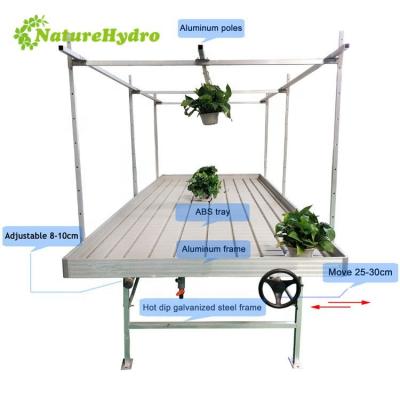 China Seedling Propagation And Growing Hydroponic Rolling Beds For Commercial Greenhouse Grow Table for sale