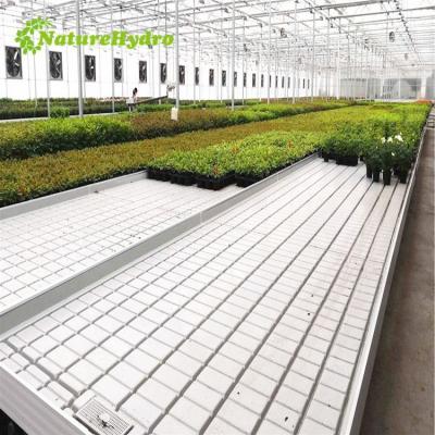 China Seedling Propagation and Growing of Greenhouse Ebb and Flow Tray Rolling Benches and Tables for Sale for sale