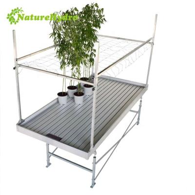 China Propagating Seedling Ebb and Flow Bench Systems Rolling Benche Ebb and Rolling Bench for sale