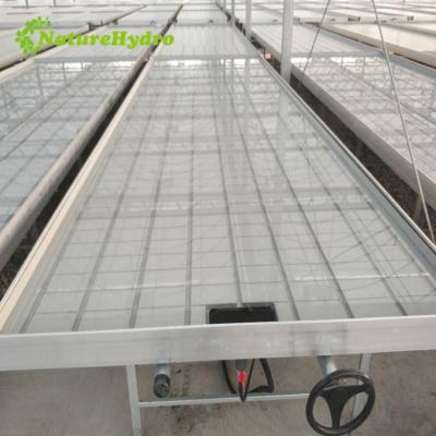 China Seedling Propagation and Rearing ABS Tray Rolling Bench Hydroponic Equipment Ebb and Flow Table Ebb Flow Planting Table for sale