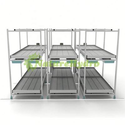 China Stable structure easily assembled agriculture vertical growing ebb and flow system rolling benchs with trays for sale