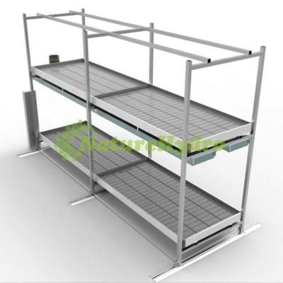 China Stable Structure Easily Assembled Crops Raising System Vertical To Expand To Rack Indoor Plant Racks for sale