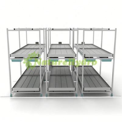 China Stable Structure Easily Assembled Ebb Tray And Table Vertical Hydroponic Multi-Layer Grow Racking Systems Shelves Rack for sale