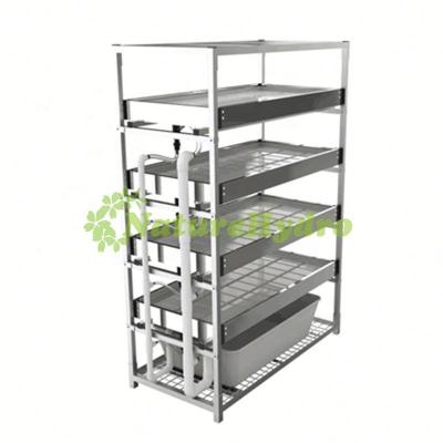 China Stable Structure Easily Assembled Multi Tier Vertical Ebb And Flow System Hydroponic Indoor Grow Benches for sale