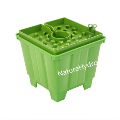 China Modern Hydroponics Grow Pots With 6 Inch Rockwool Cube Drip Sheets Cover for sale