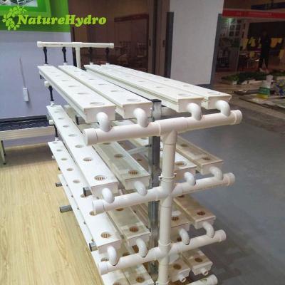 China Industrial Hydroponic Easy Assembly NFT Growing System Supplier for sale