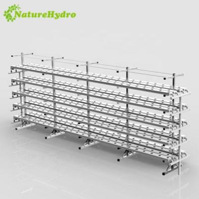 China PVC & 2.5Mm Thickness PVC Tube Hydroponics UV Nft System For Greenhouse for sale