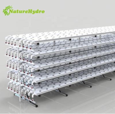 China PVC & Nft Professional Vertical Hydroponics System UV Lettuce For Plants for sale