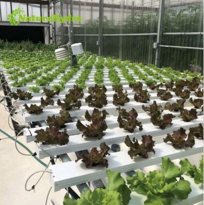 China Hydroponic Lettuce NFT PVC Channel For Agriculture nft greenhouse hydroponic system for sale